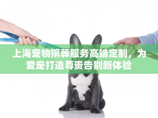 上海宠物殡葬服务高端定制，为爱宠打造尊贵告别新体验