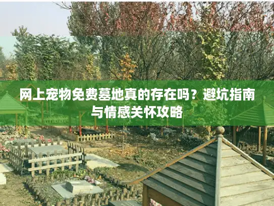 网上宠物免费墓地真的存在吗？避坑指南与情感关怀攻略