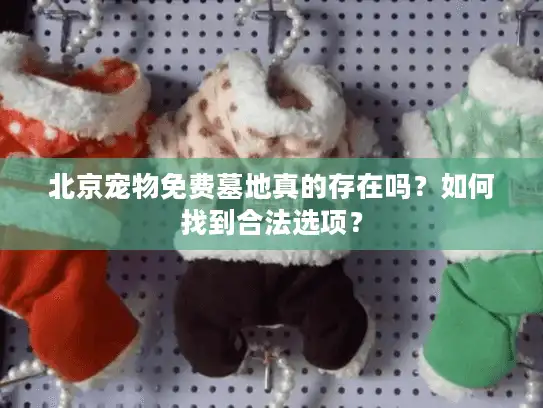 北京宠物免费墓地真的存在吗？如何找到合法选项？