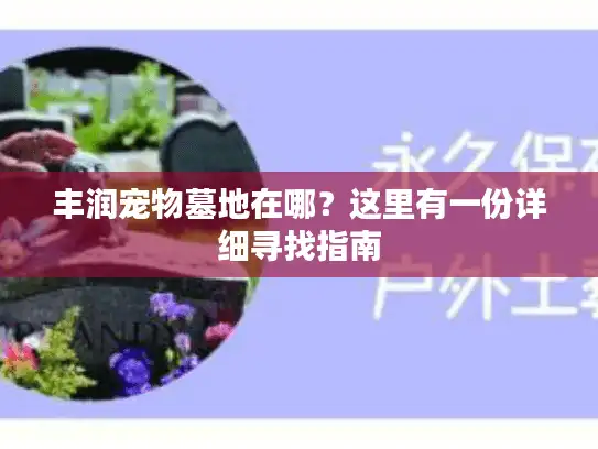 丰润宠物墓地在哪？这里有一份详细寻找指南