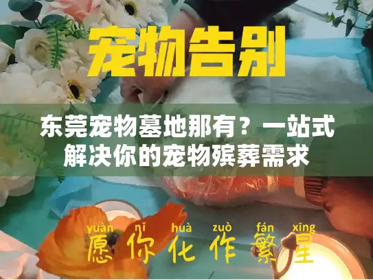 东莞宠物墓地那有？一站式解决你的宠物殡葬需求