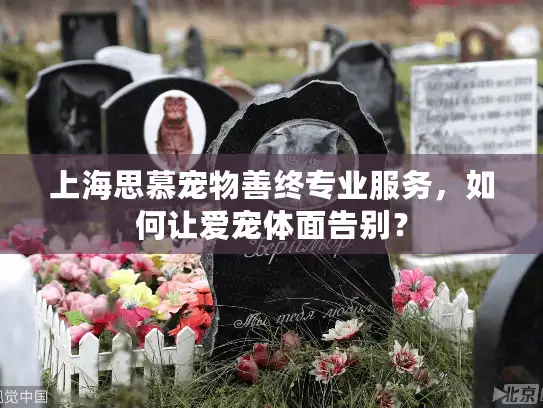 上海思慕宠物善终专业服务，如何让爱宠体面告别？