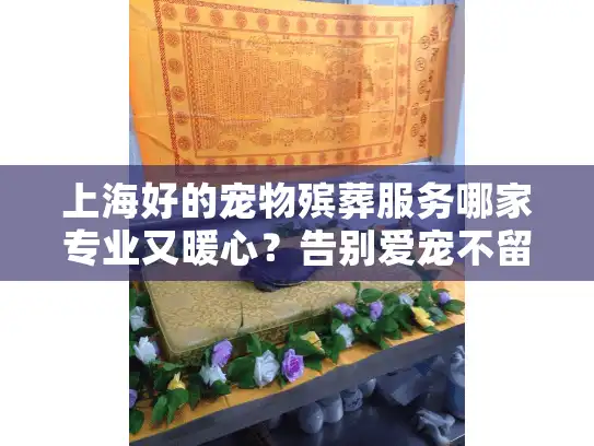 上海好的宠物殡葬服务哪家专业又暖心？告别爱宠不留遗憾
