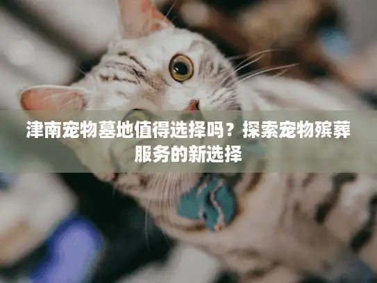 津南宠物墓地值得选择吗？探索宠物殡葬服务的新选择