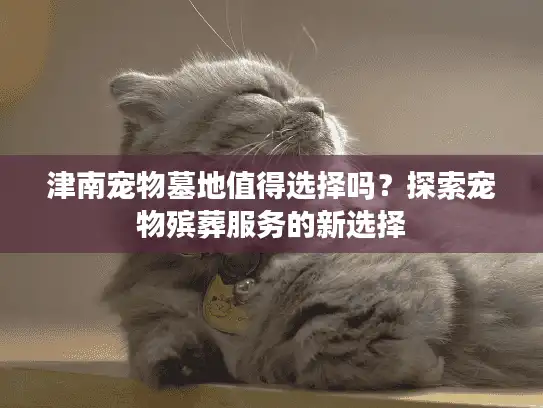 津南宠物墓地值得选择吗？探索宠物殡葬服务的新选择