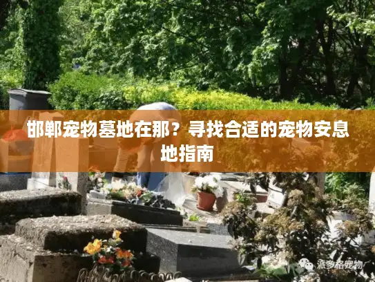 邯郸宠物墓地在那？寻找合适的宠物安息地指南