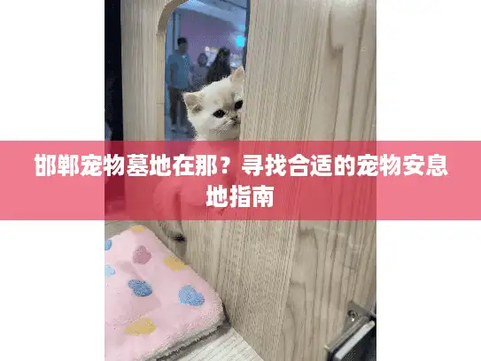 邯郸宠物墓地在那？寻找合适的宠物安息地指南