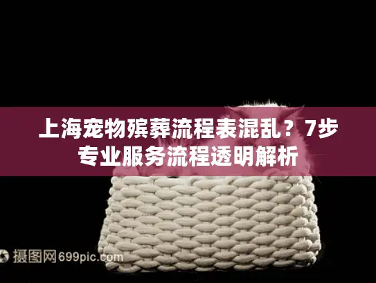 上海宠物殡葬流程表混乱？7步专业服务流程透明解析