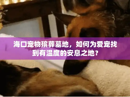 海口宠物殡葬墓地，如何为爱宠找到有温度的安息之地？
