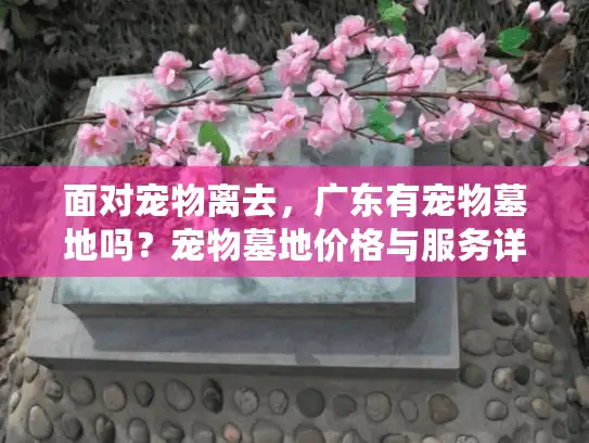 面对宠物离去，广东有宠物墓地吗？宠物墓地价格与服务详解