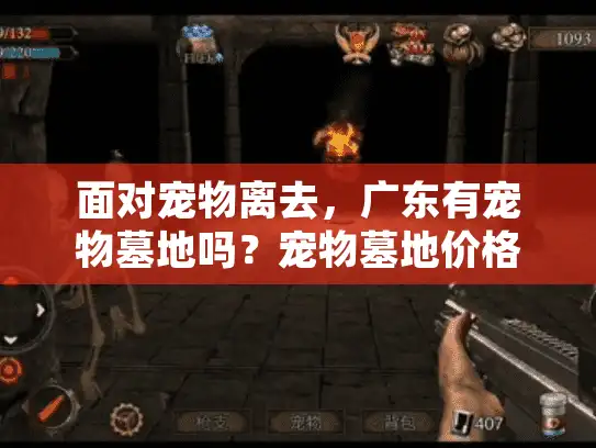 面对宠物离去，广东有宠物墓地吗？宠物墓地价格与服务详解