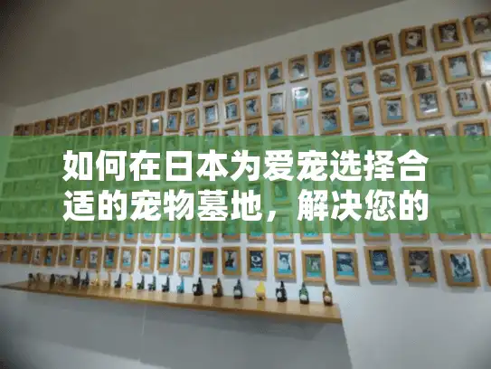如何在日本为爱宠选择合适的宠物墓地，解决您的宠物殡葬难题