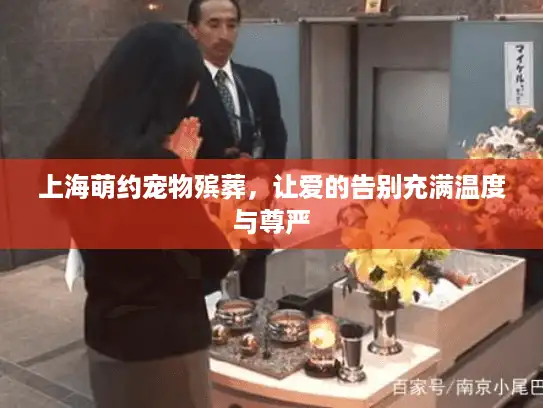 上海萌约宠物殡葬，让爱的告别充满温度与尊严
