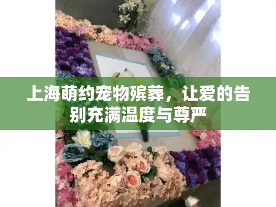 上海萌约宠物殡葬，让爱的告别充满温度与尊严