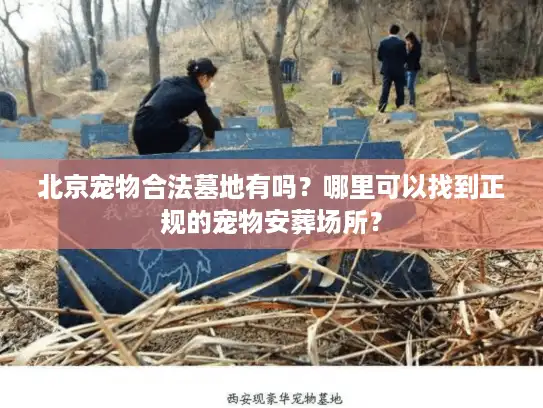 北京宠物合法墓地有吗？哪里可以找到正规的宠物安葬场所？