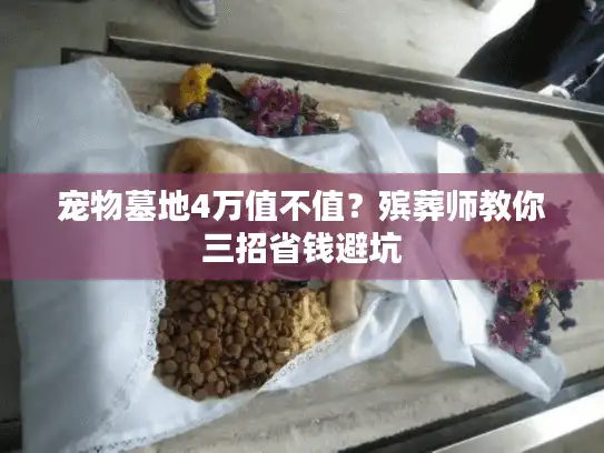 宠物墓地4万值不值？殡葬师教你三招省钱避坑