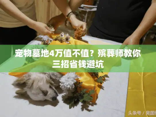 宠物墓地4万值不值？殡葬师教你三招省钱避坑