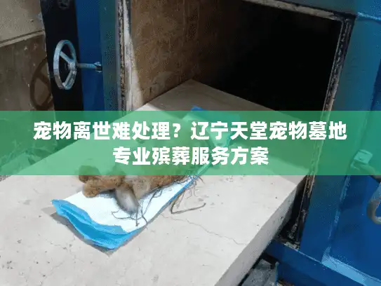 宠物离世难处理？辽宁天堂宠物墓地专业殡葬服务方案