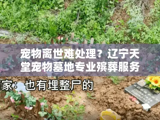 宠物离世难处理？辽宁天堂宠物墓地专业殡葬服务方案
