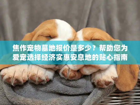 焦作宠物墓地报价是多少？帮助您为爱宠选择经济实惠安息地的贴心指南