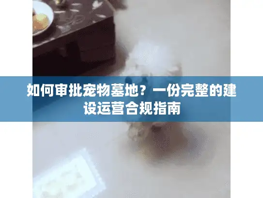 如何审批宠物墓地？一份完整的建设运营合规指南