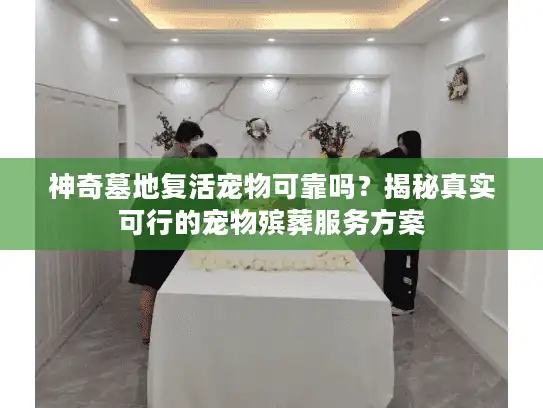 神奇墓地复活宠物可靠吗？揭秘真实可行的宠物殡葬服务方案