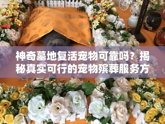 神奇墓地复活宠物可靠吗？揭秘真实可行的宠物殡葬服务方案