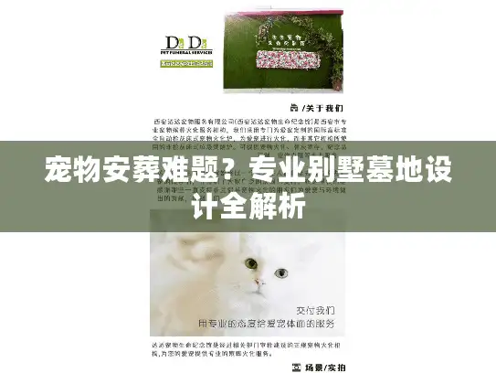 宠物安葬难题？专业别墅墓地设计全解析