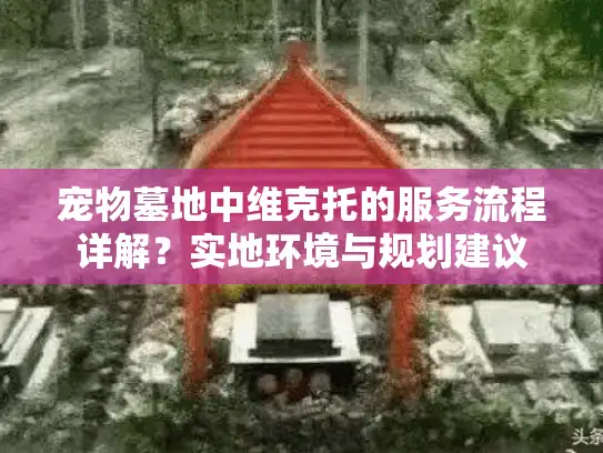宠物墓地中维克托的服务流程详解？实地环境与规划建议