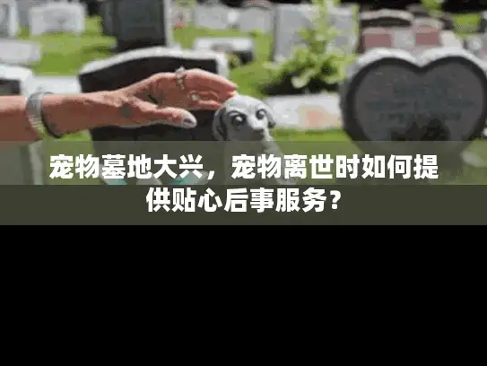 宠物墓地大兴，宠物离世时如何提供贴心后事服务？