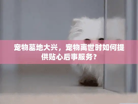 宠物墓地大兴，宠物离世时如何提供贴心后事服务？