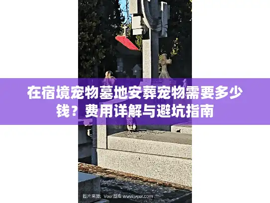 在宿境宠物墓地安葬宠物需要多少钱？费用详解与避坑指南