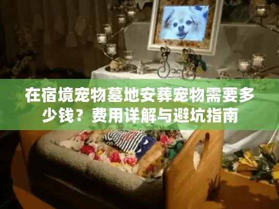 在宿境宠物墓地安葬宠物需要多少钱？费用详解与避坑指南