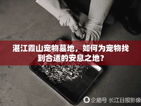 湛江霞山宠物墓地，如何为宠物找到合适的安息之地？