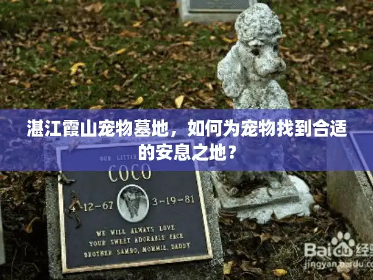 湛江霞山宠物墓地，如何为宠物找到合适的安息之地？