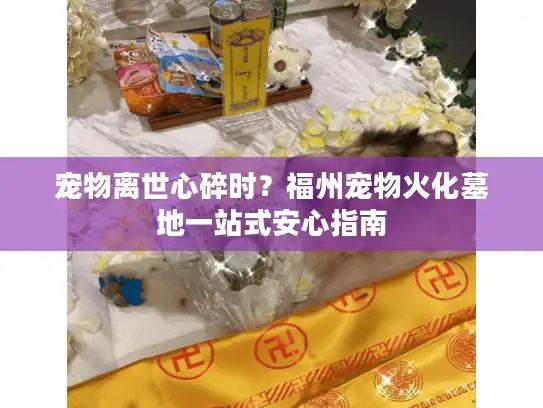 宠物离世心碎时？福州宠物火化墓地一站式安心指南