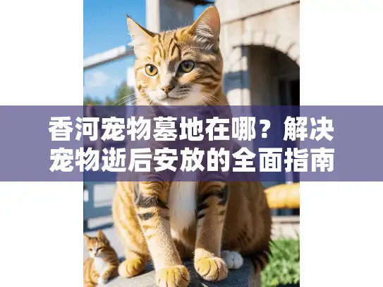 香河宠物墓地在哪？解决宠物逝后安放的全面指南