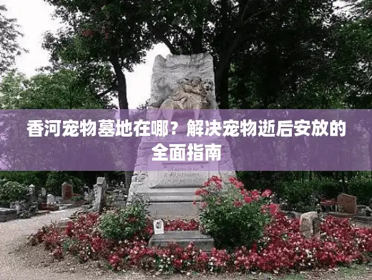 香河宠物墓地在哪？解决宠物逝后安放的全面指南