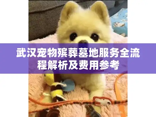 武汉宠物殡葬墓地服务全流程解析及费用参考