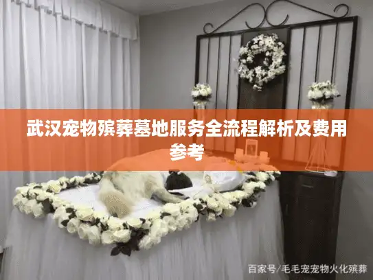 武汉宠物殡葬墓地服务全流程解析及费用参考