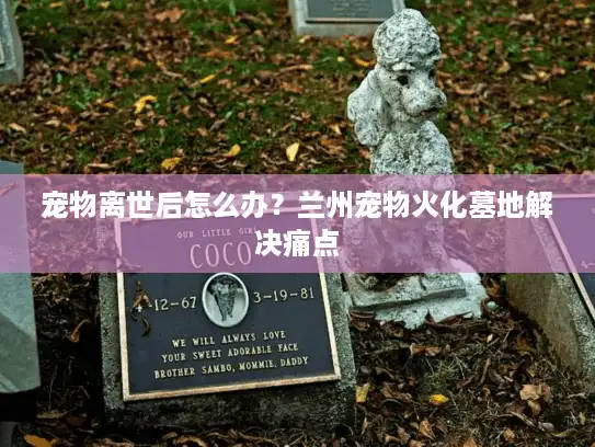 宠物离世后怎么办？兰州宠物火化墓地解决痛点