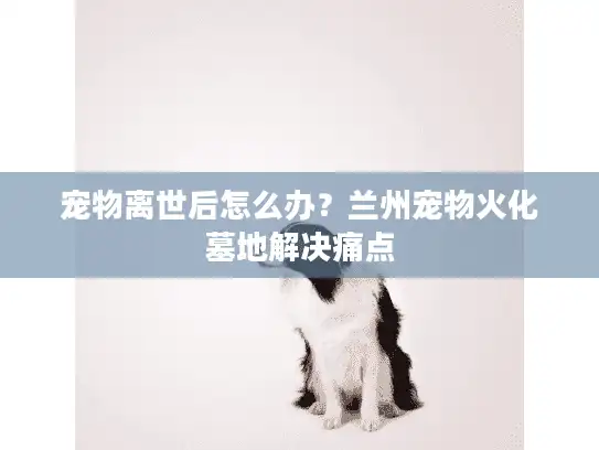 宠物离世后怎么办？兰州宠物火化墓地解决痛点