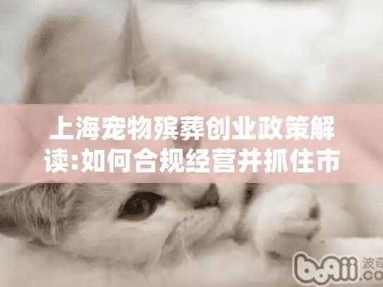 上海宠物殡葬创业政策解读:如何合规经营并抓住市场机遇?