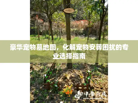 豪华宠物墓地图，化解宠物安葬困扰的专业选择指南