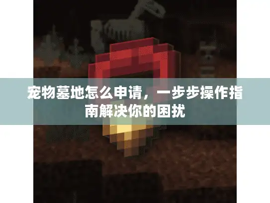 宠物墓地怎么申请，一步步操作指南解决你的困扰