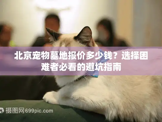 北京宠物墓地报价多少钱？选择困难者必看的避坑指南