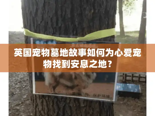 英国宠物墓地故事如何为心爱宠物找到安息之地？