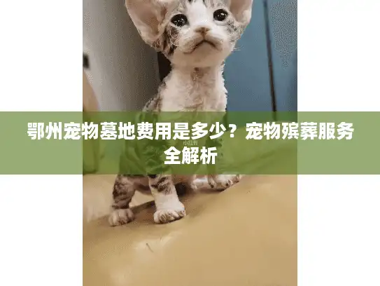 鄂州宠物墓地费用是多少？宠物殡葬服务全解析