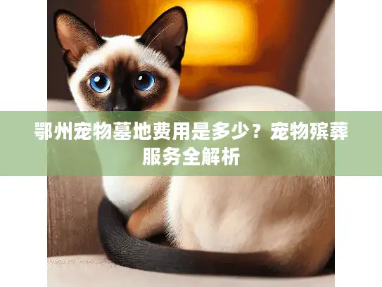 鄂州宠物墓地费用是多少？宠物殡葬服务全解析