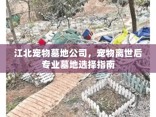 江北宠物墓地公司，宠物离世后专业墓地选择指南